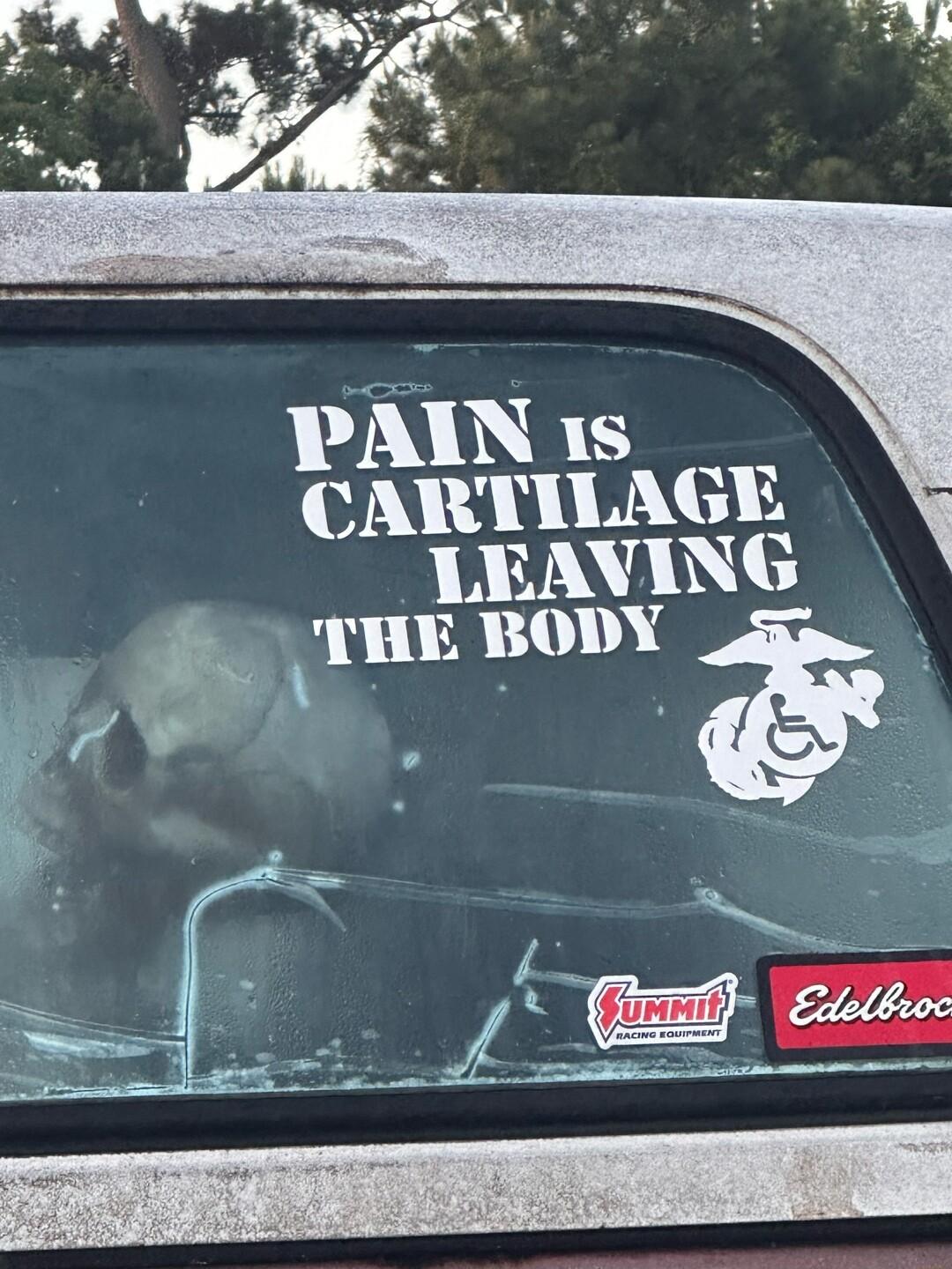 PAIN 18 CARTILAGE LEAVING lllE BODY 7w _51 L_ ZA_ C s