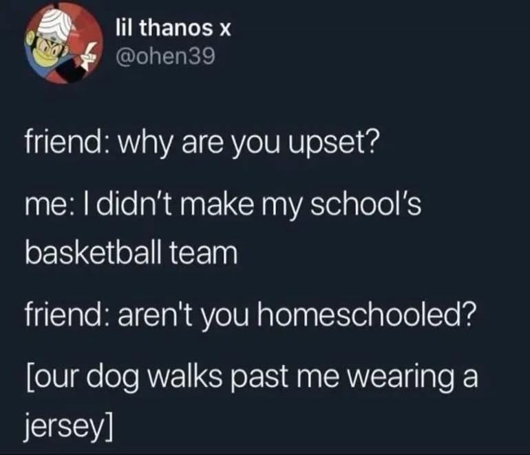 friend: why are you upset? me: I didn't make my school's basketball team friend: aren't you homeschooled? [our dog walks past me wearing a jersey]