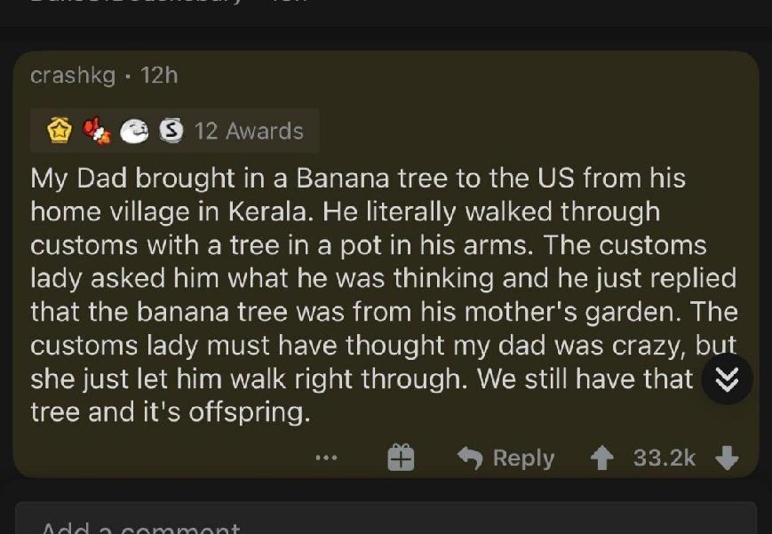 crashkg 12h PN Y RPANTETES V IVABETe Noldelilel sl A N R N E RSN R R R RideTaaWalIS el RV ETe R NG E1E M S SR N CTET WANET Gl RidaIgol0le o customs with a tree in a pot in his arms The customs EToNACE o N a1 MW A EYE s SRWETR sl a1 Xale 12 te Ma SN VIS A ZTo T that the banana tree was from his mothers garden The VS e B E Te YA VIS R IR pToTUTe o1 M iAo Te RIVE ISR VA VAN oTU 1 she just let him wal