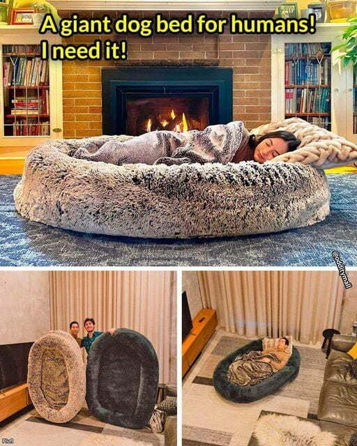 dog bed forhumans s