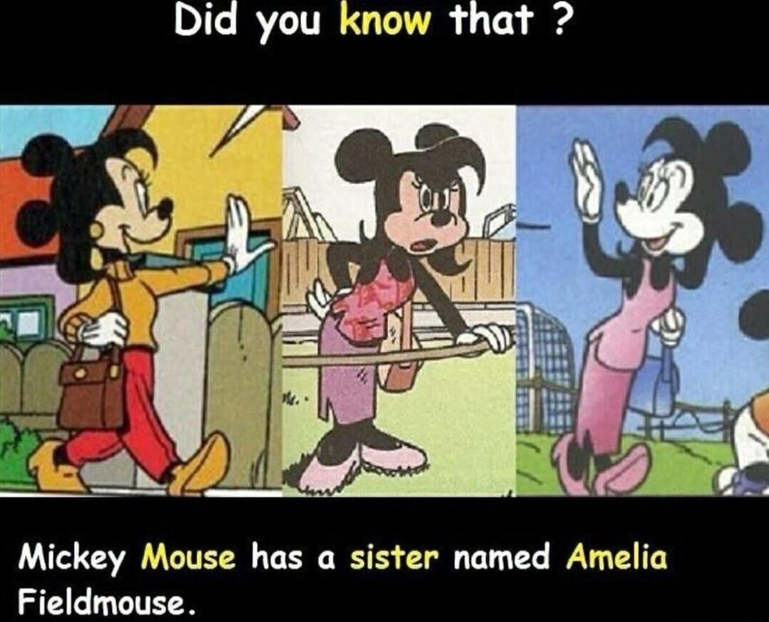 Did you know that Mickey Mouse has a sister named Amelia Fieldmouse