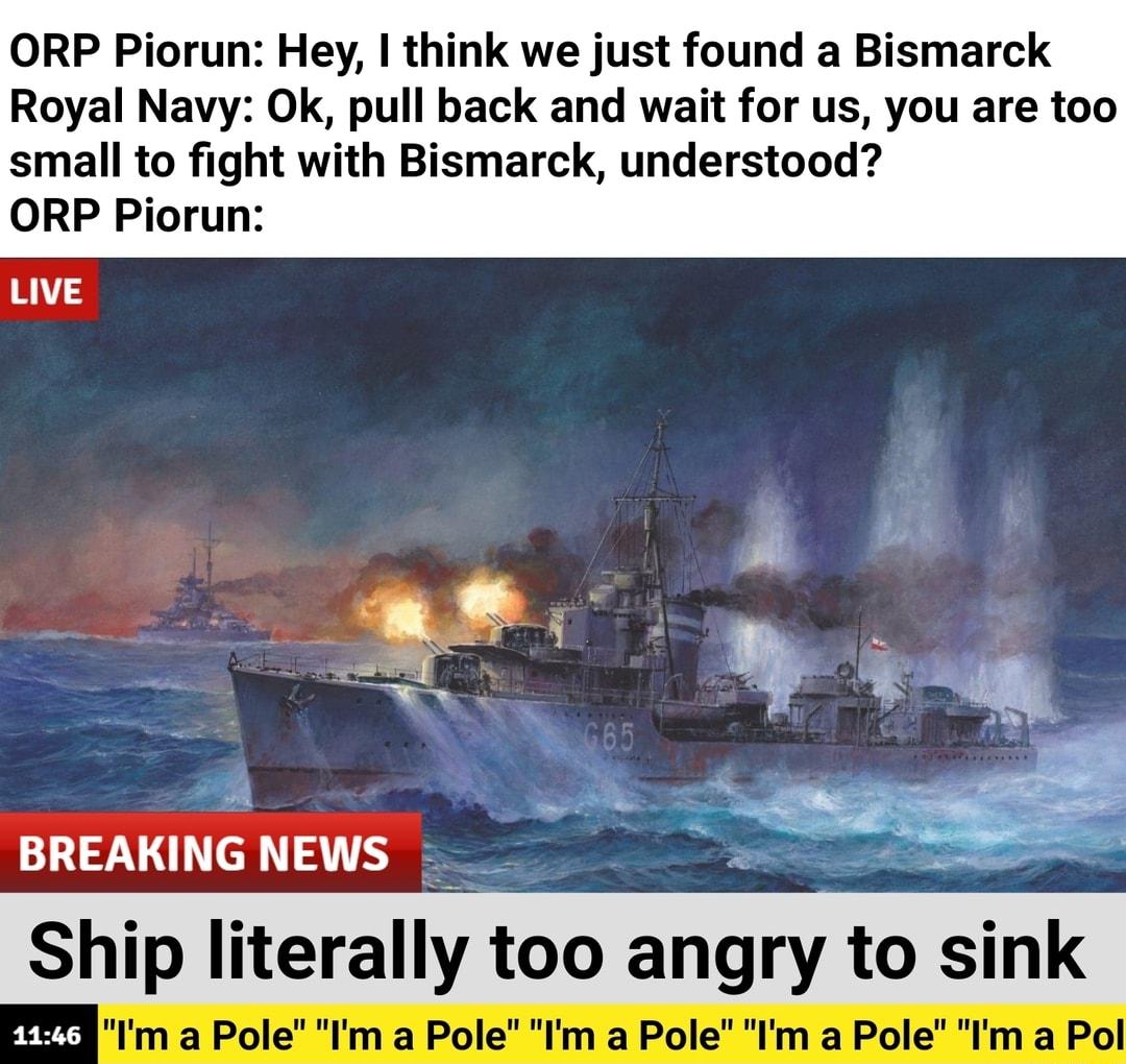 ORP Piorun Hey think we just found a Bismarck Royal Navy Ok pull back and wait for us you are too small to fight with Bismarck understood ORP Piorun LIVE 4 BREAKING NEWS Ship literally too angry to nk e