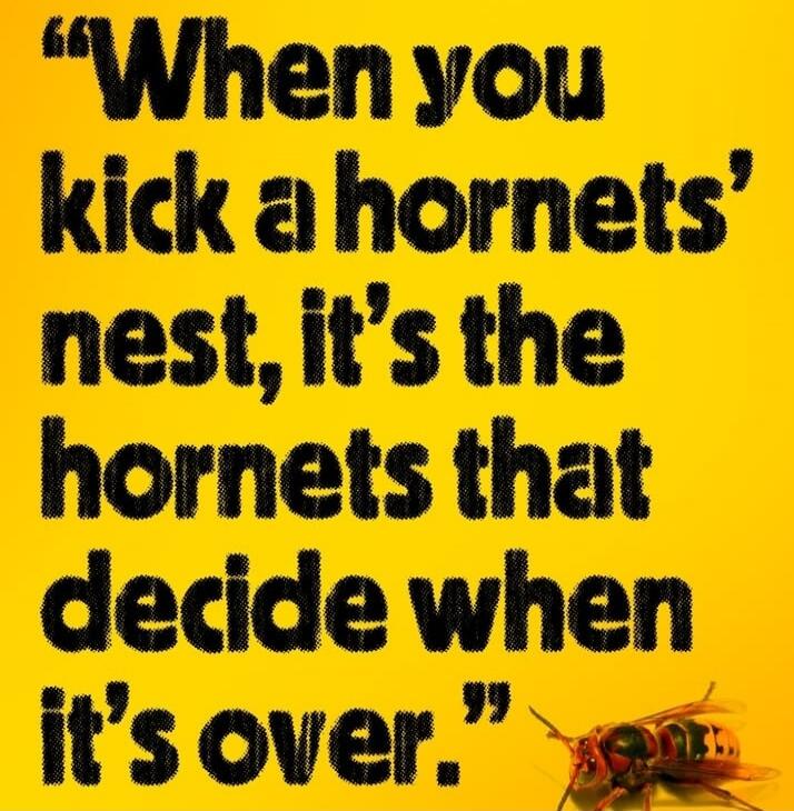 When you kick a hornets' nest, it's the hornets that decide when it's over.