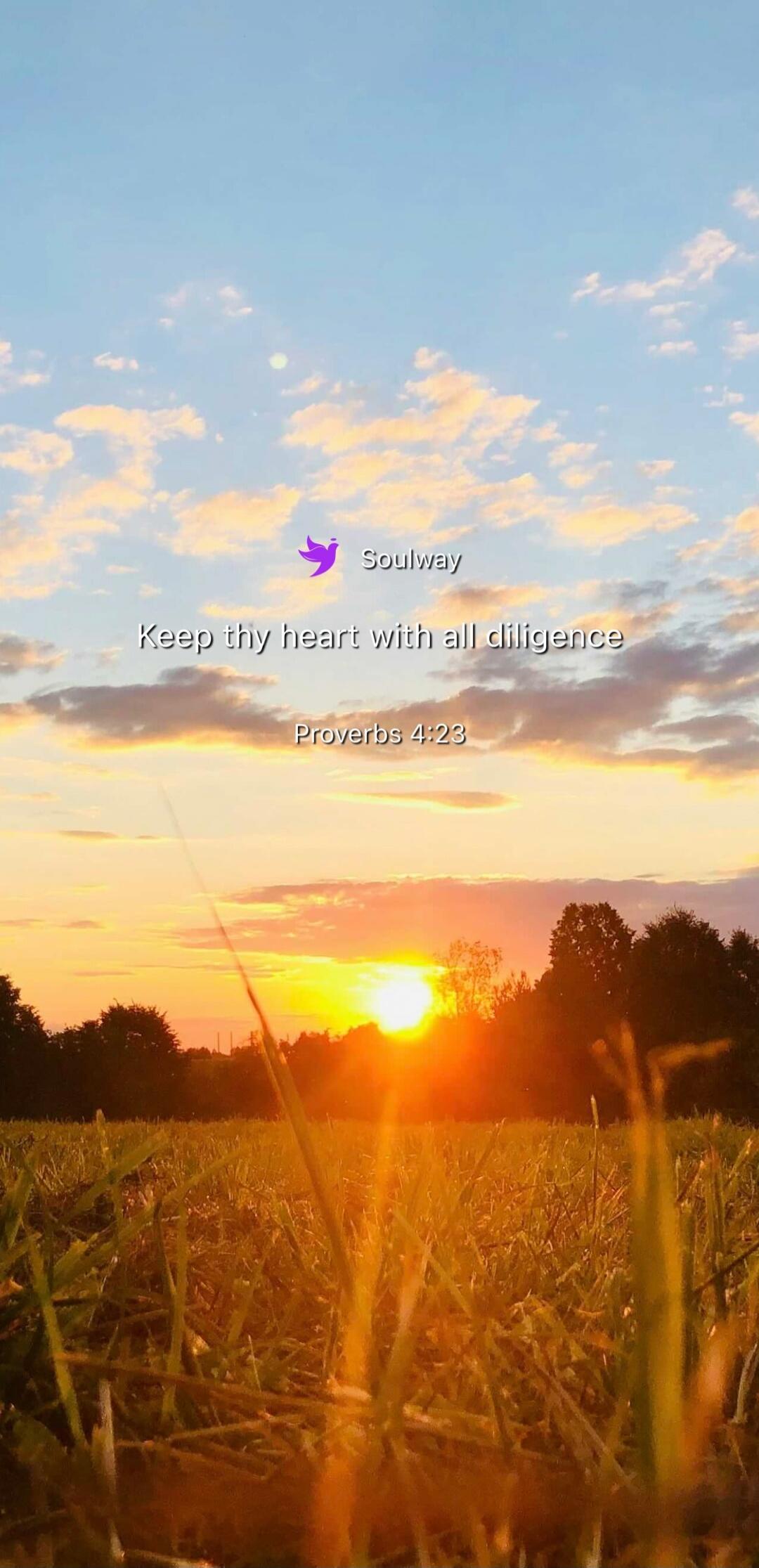 Soulway Keep thy heart with all diligence Proverbs 4:23