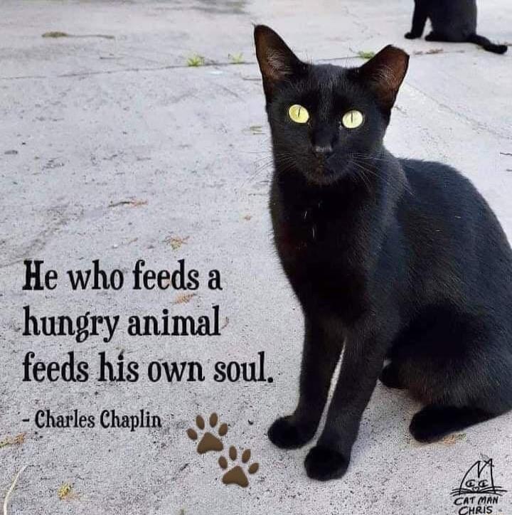 He who feeds a hungry animal feeds his own soul Clarexclxplm Sy