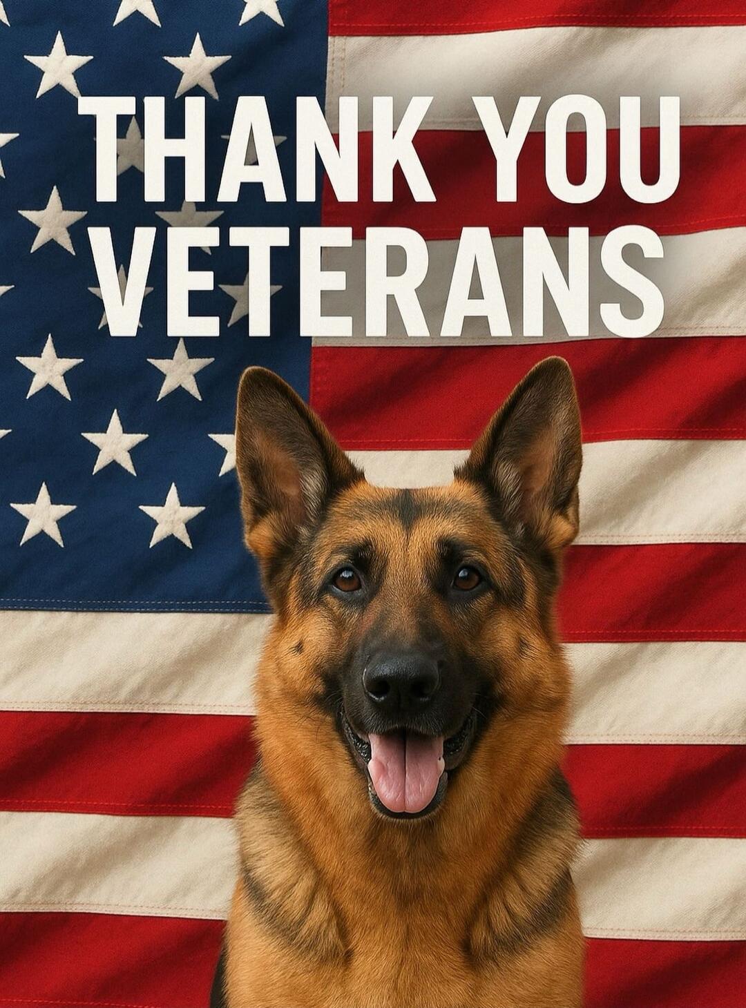 THANK YOU VETERANS