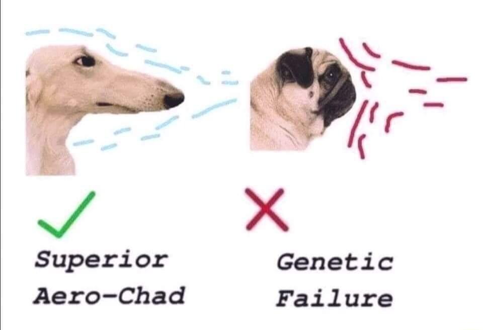 i _ P Superior Genetic Aero Chad Failure