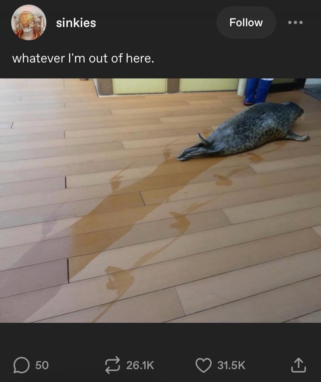 whatever I'm out of here.