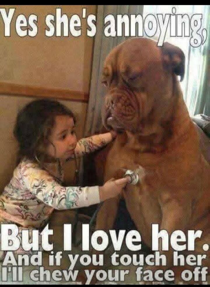 Yes she's annoying. But I love her. And if you touch her I'll chew your face off