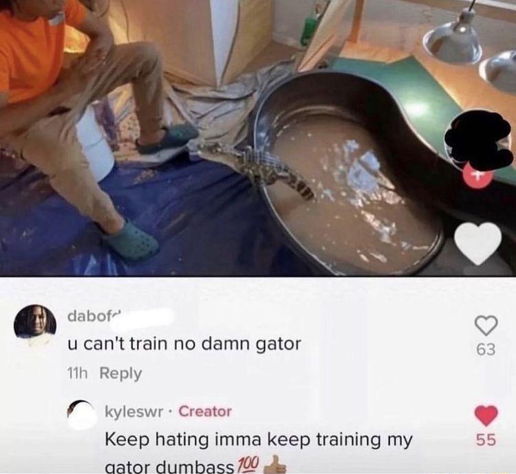 u cant train no damn gator Kyl Keep hating imma keep training my