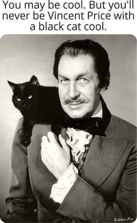 You may be cool. But you'll never be Vincent Price with a black cat cool.