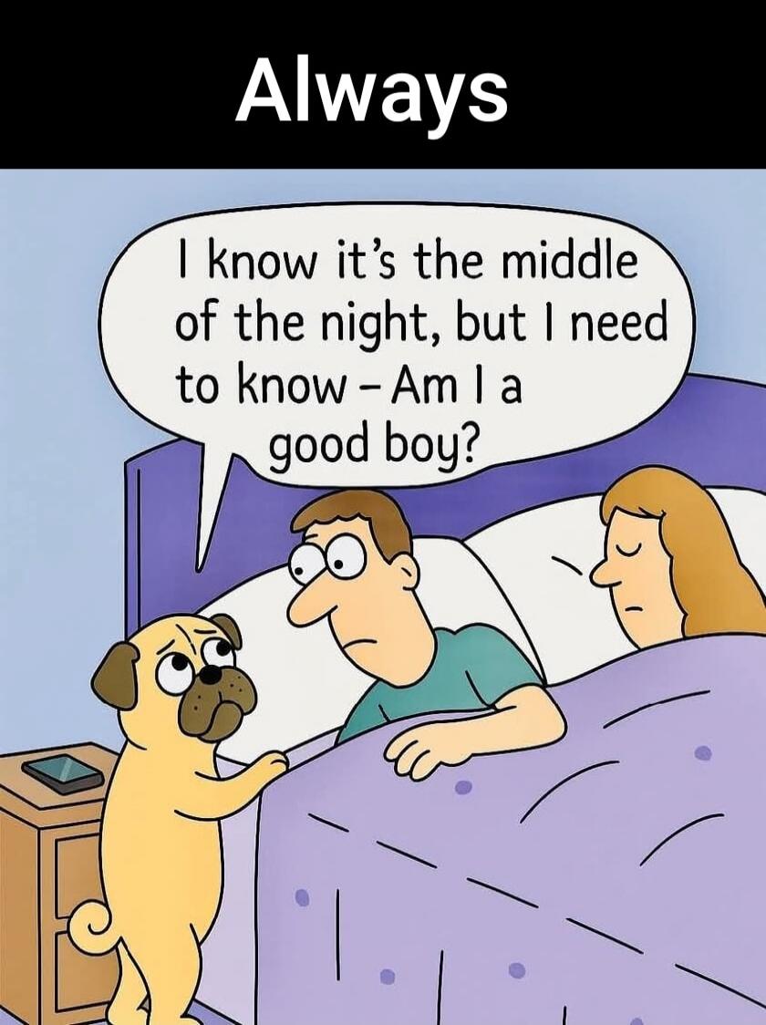 Always
I know it’s the middle of the night, but I need to know – Am I a good boy?