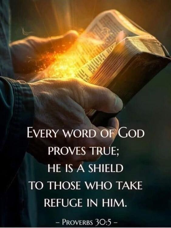 Every word of God proves true; He is a shield to those who take refuge in Him. - Proverbs 30:5 -