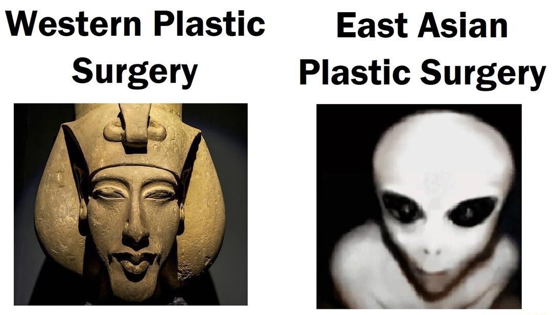Western Plastic East Asian Surgery Plastic Surgery