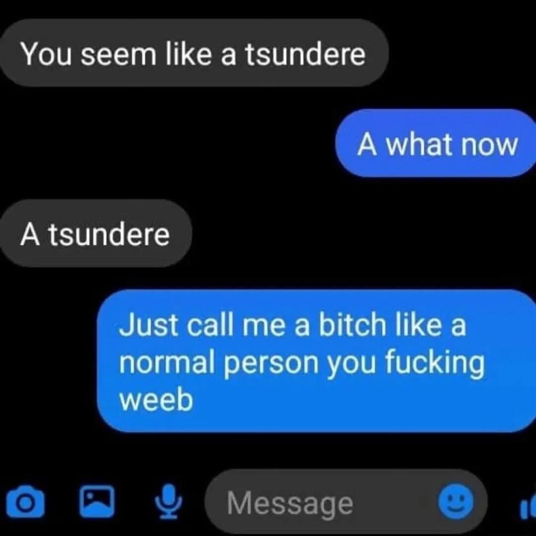 You seem like a tsundere A what now A tsundere Just call me a bitch like a normal person you fucking weeb Message