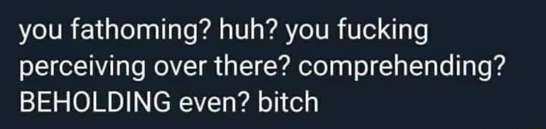 you fathoming huh you fucking perceiving over there comprehending BEHOLDING even bitch