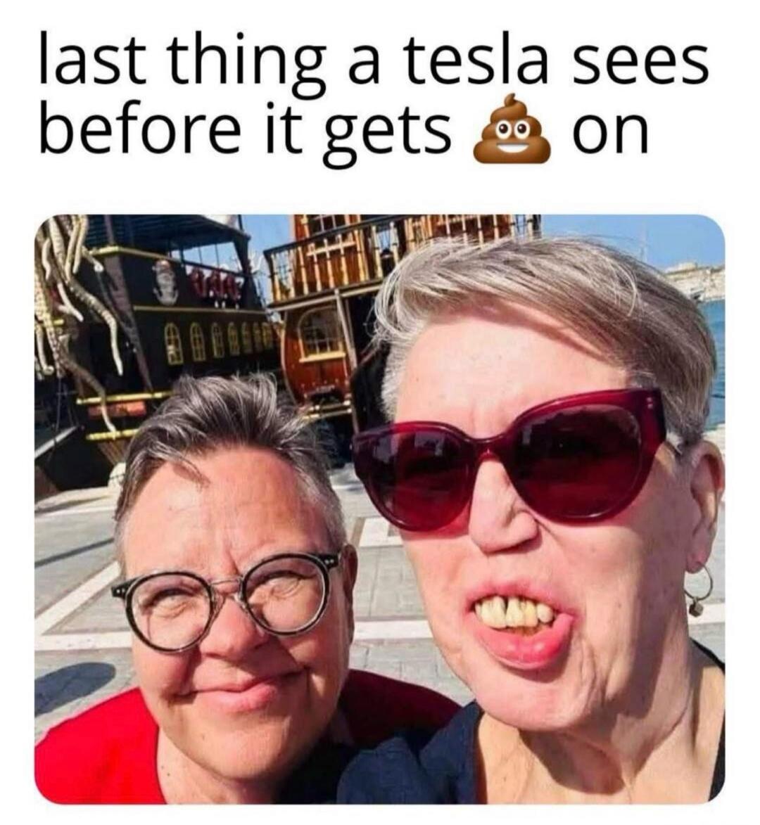 last thing a tesla sees before it gets 💩 on