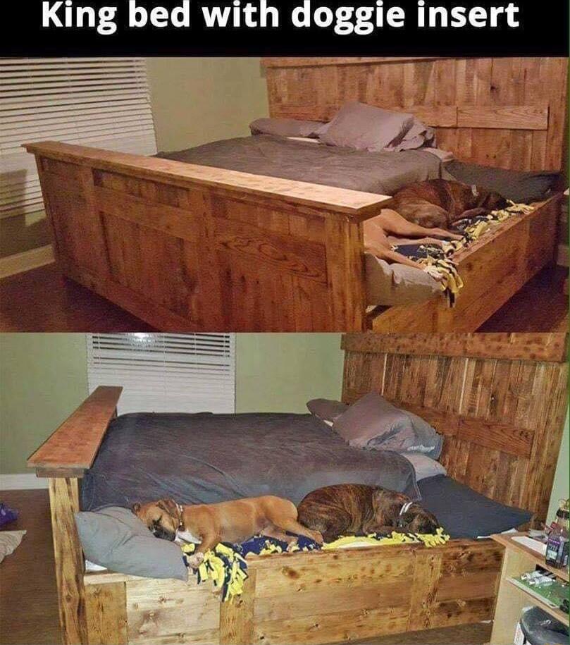 King bed with doggie insert