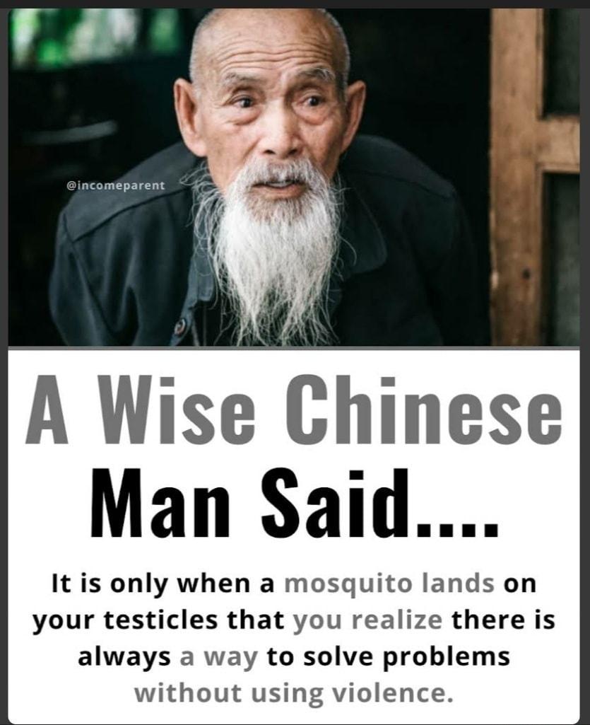 incomeparent A Wise Chinese Man Said It is only when a mosquito lands on your testicles that you realize there is always a way to solve problems without using violence