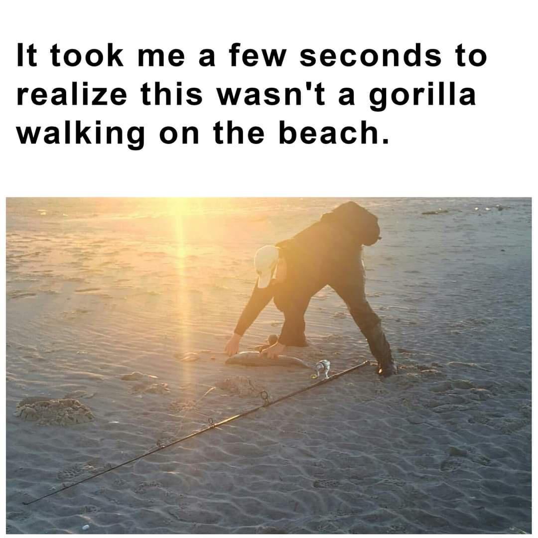 It took me a few seconds to realize this wasnt a gorilla walking on the beach