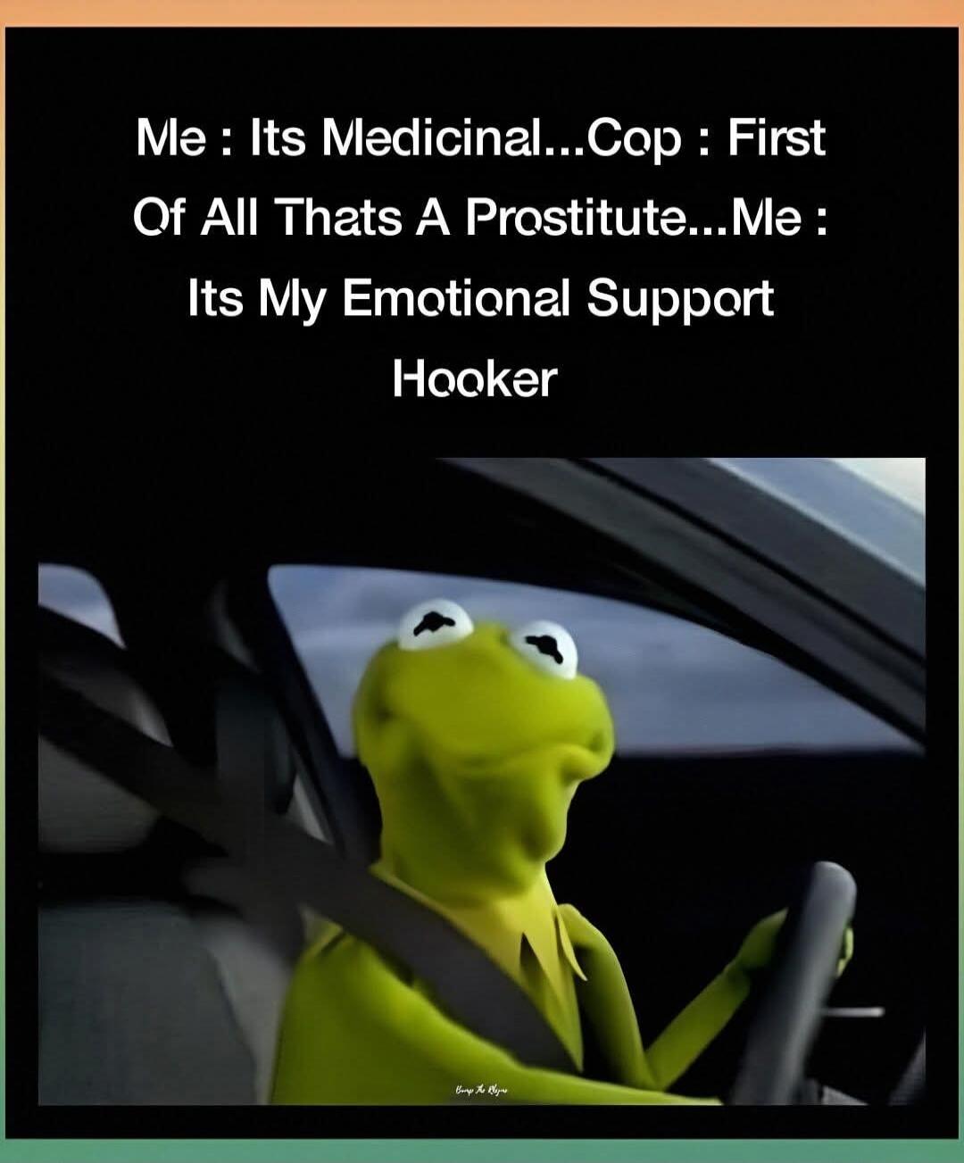 Me : Its Medicinal...Cop : First Of All Thats A Prostitute...Me : Its My Emotional Support Hooker