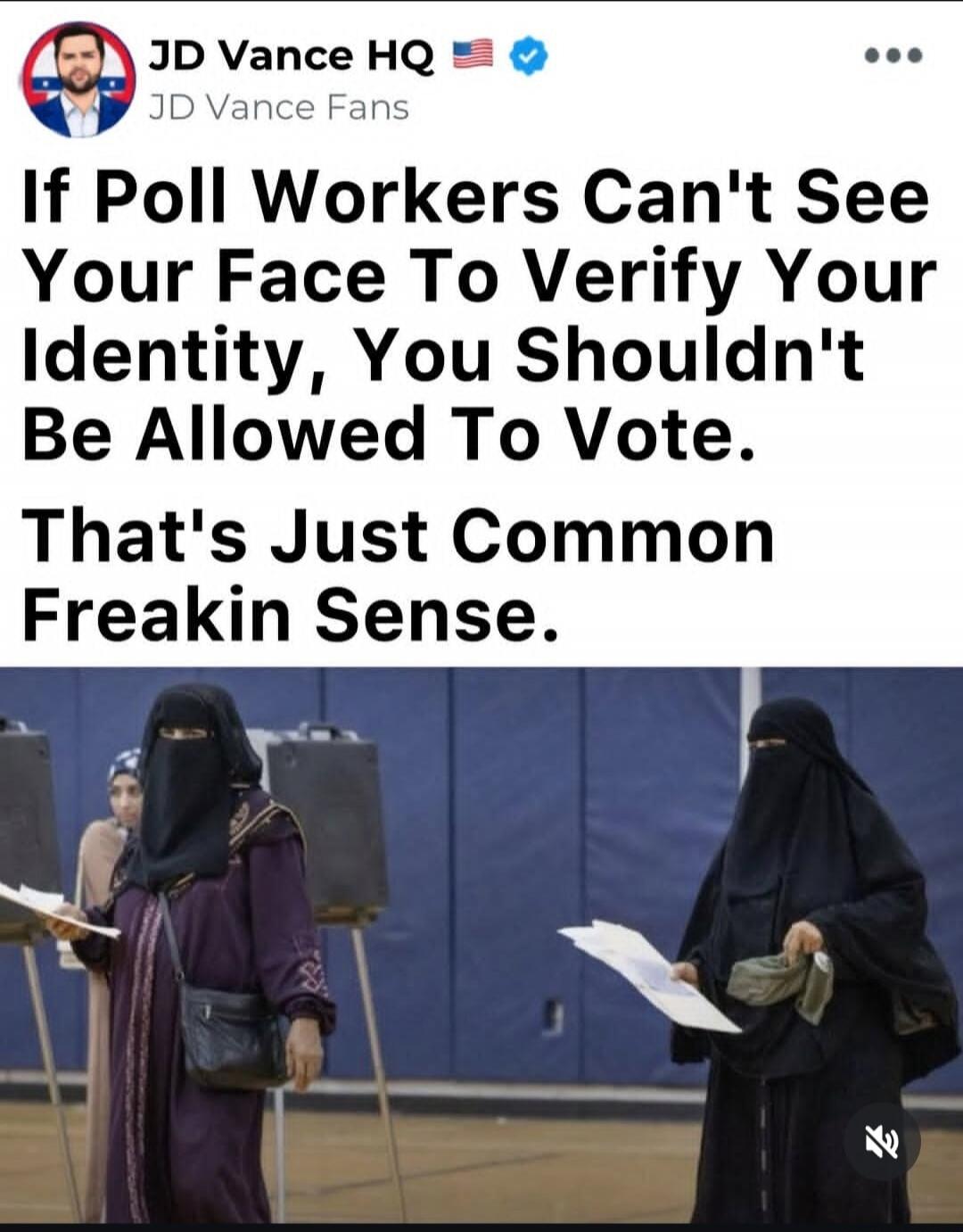 JD Vance HQ JD Vance Fans If Poll Workers Can't See Your Face To Verify Your Identity, You Shouldn't Be Allowed To Vote. That's Just Common Freakin Sense.