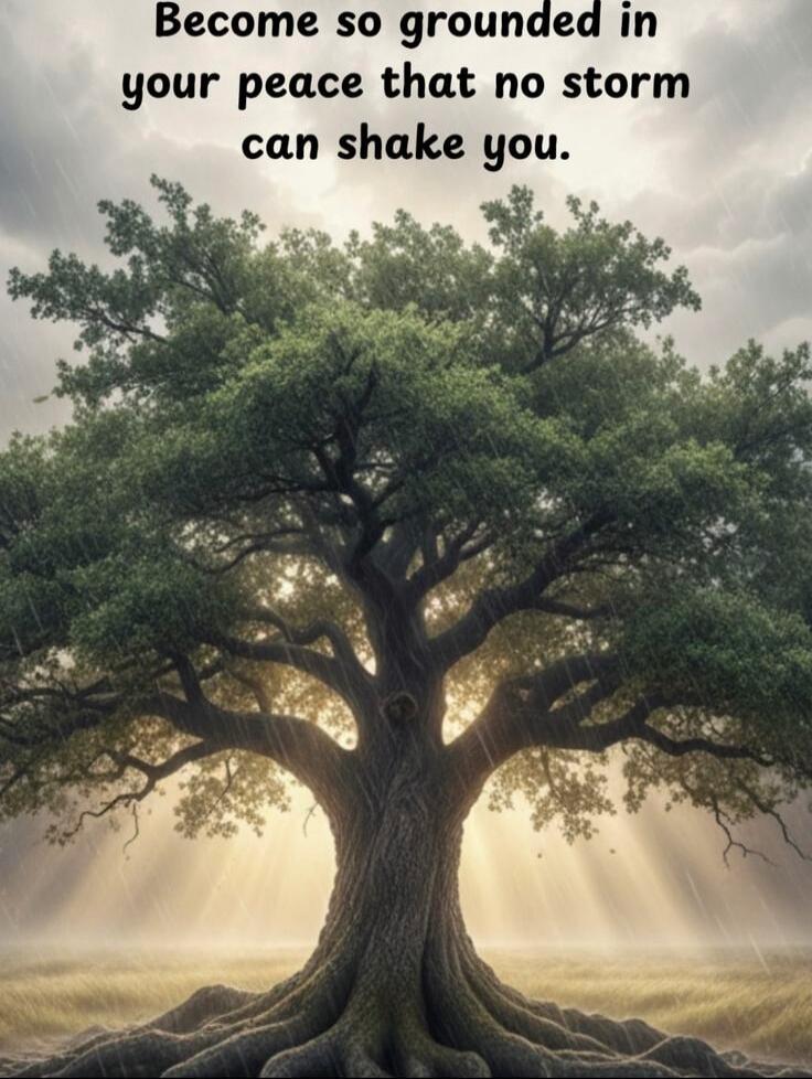 Become so grounded in your peace that no storm can shake you.