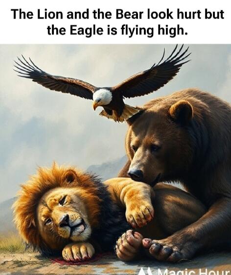 The Lion and the Bear look hurt but the Eagle is flying high.