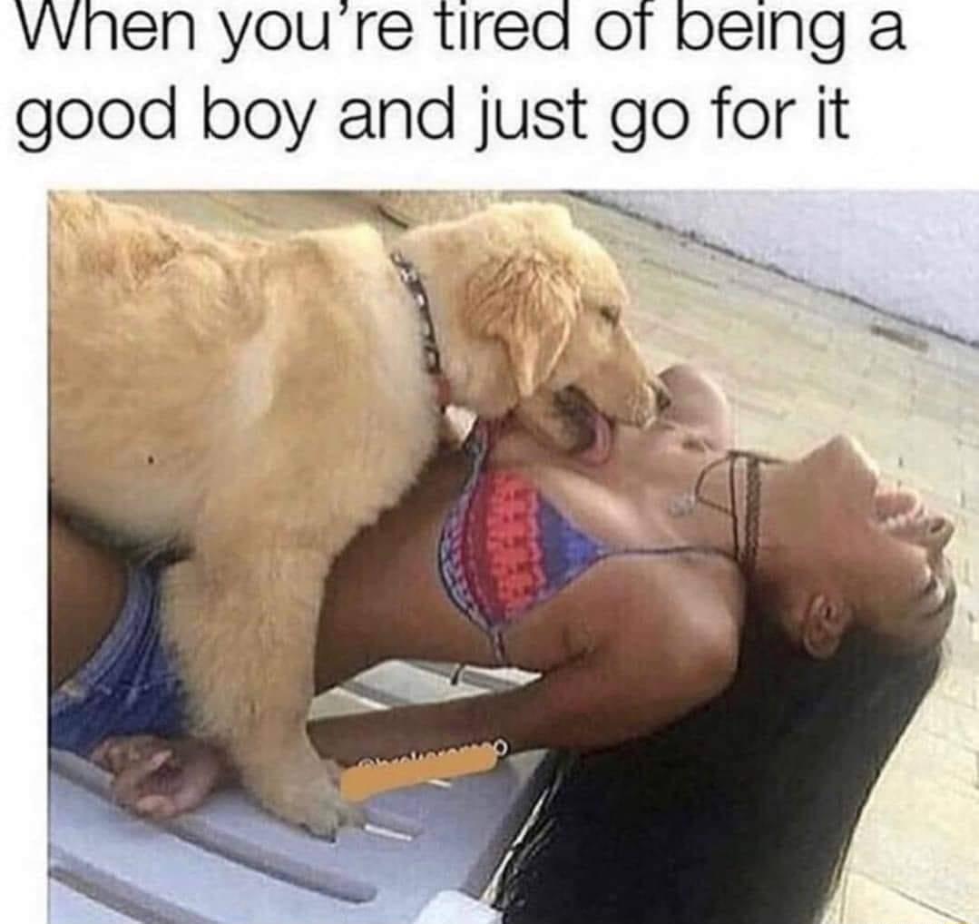 vvnen you re tired ot being a good boy and just go for it T T