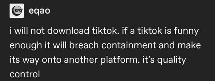 CLEN i will not download tiktok if a tiktok is funny enough it will breach containment and make NERVEWR R Ta o1 T sl e el gy M e VE1 1 control