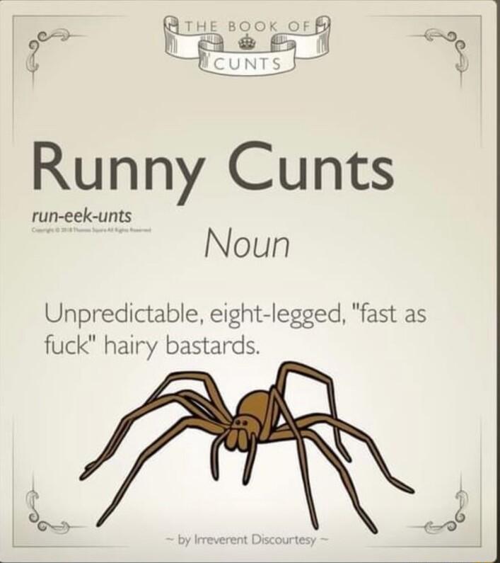 Runny Cunts run eek unts Noun Unpredictable eight legged fast as fuck hairy bastards