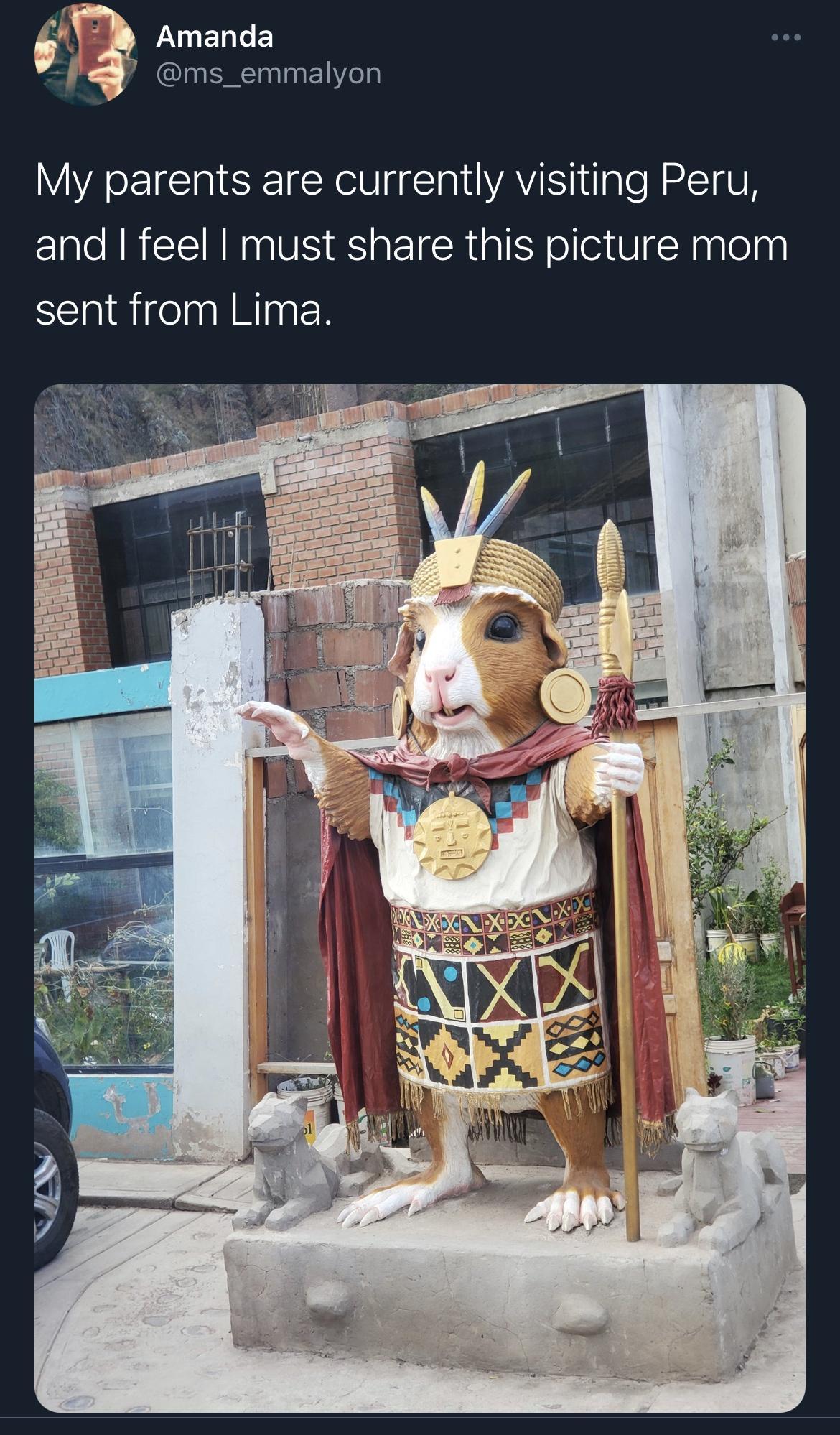 Amanda Ig ms_emmalyon My parents are currently visiting Peru and feel must share this picture mom sent from Lima