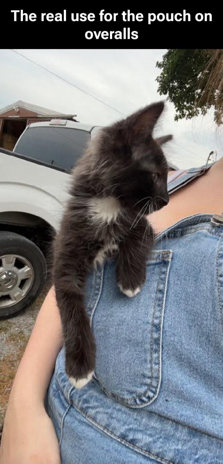 The real use for the pouch on overalls
