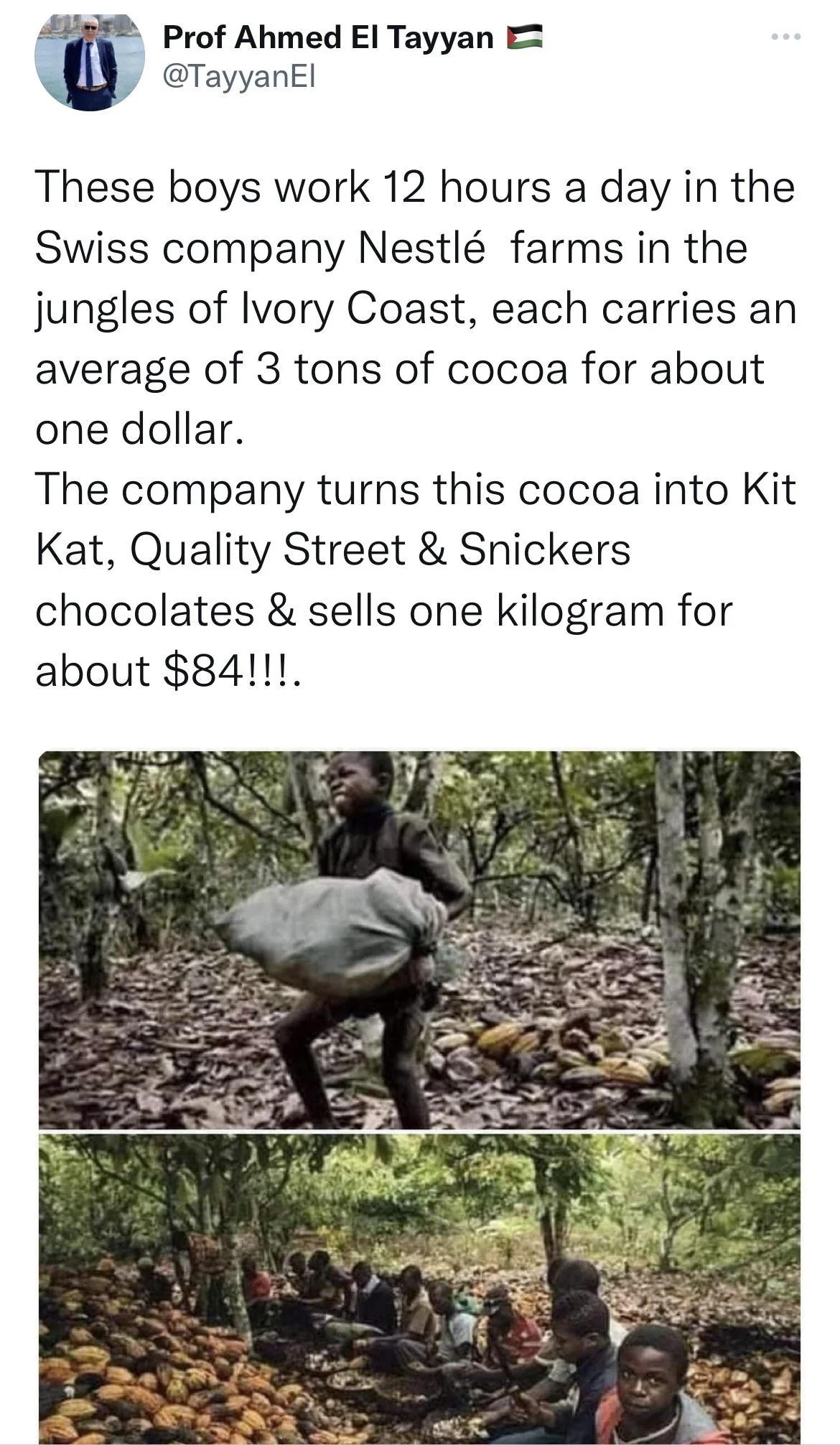 t Prof Ahmed El Tayyan E TayyanEl These boys work 12 hours a day in the Swiss company Nestl farms in the jungles of Ivory Coast each carries an average of 3 tons of cocoa for about one dollar The company turns this cocoa into Kit Kat Quality Street Snickers chocolates sells one kilogram for about 841