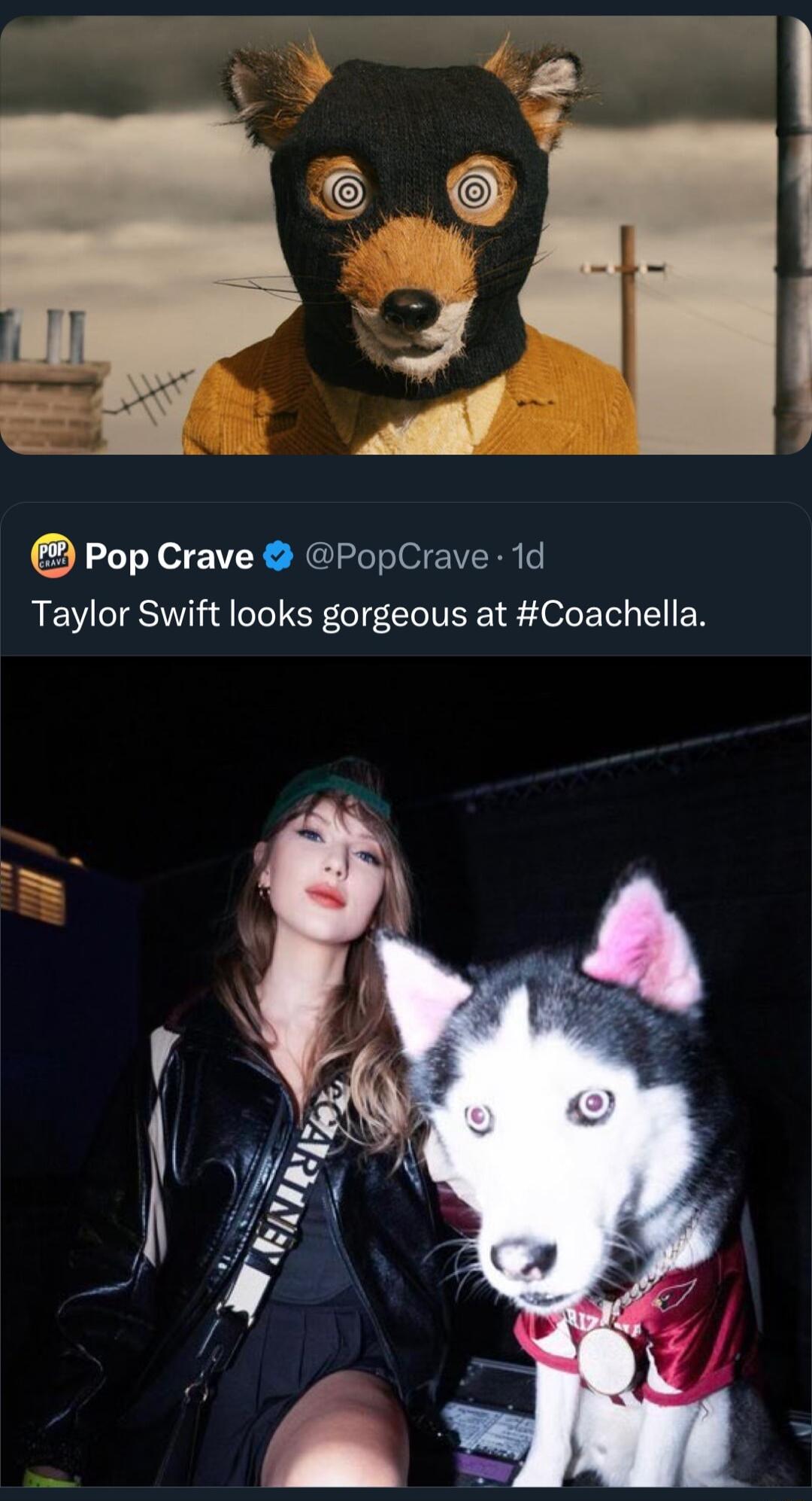 a P P Pop Crave PopCrave 1d Taylor Swift looks gorgeous at Coachella