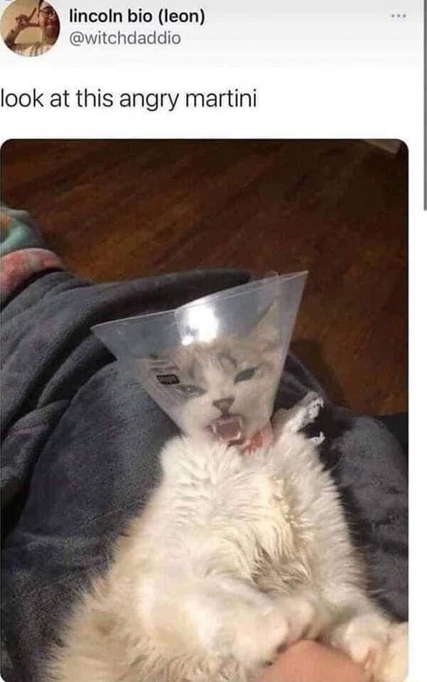 lincoln bio leon hdaddio look at this angry martini