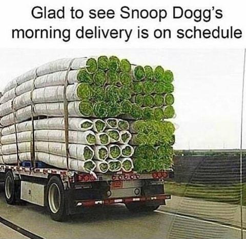 Glad to see Snoop Doggs morning delivery is on schedule