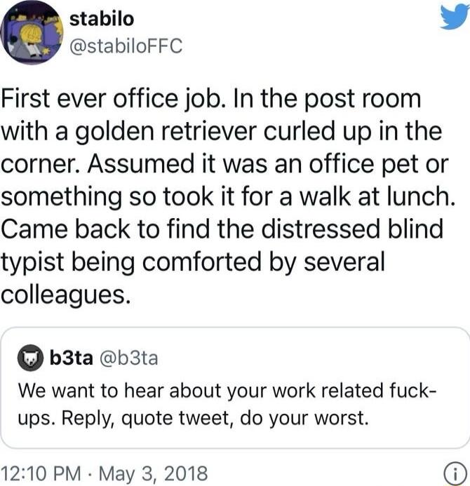 stabilo stabiloFFC First ever office job In the post room with a golden retriever curled up in the corner Assumed it was an office pet or something so took it for a walk at lunch Came back to find the distressed blind typist being comforted by several colleagues b3ta b3ta We want to hear about your work related fuck ups Reply quote tweet do your worst 1210 PM May 3 2018