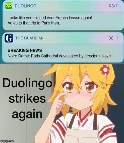 DUOLINGO 081 Looks like you missed your French lesson again Adieu to that trip to Paris then m THE GUARDIAN BREAKING NEWS Notre Dame Paris Cathedral devastated by ferocious blaze
