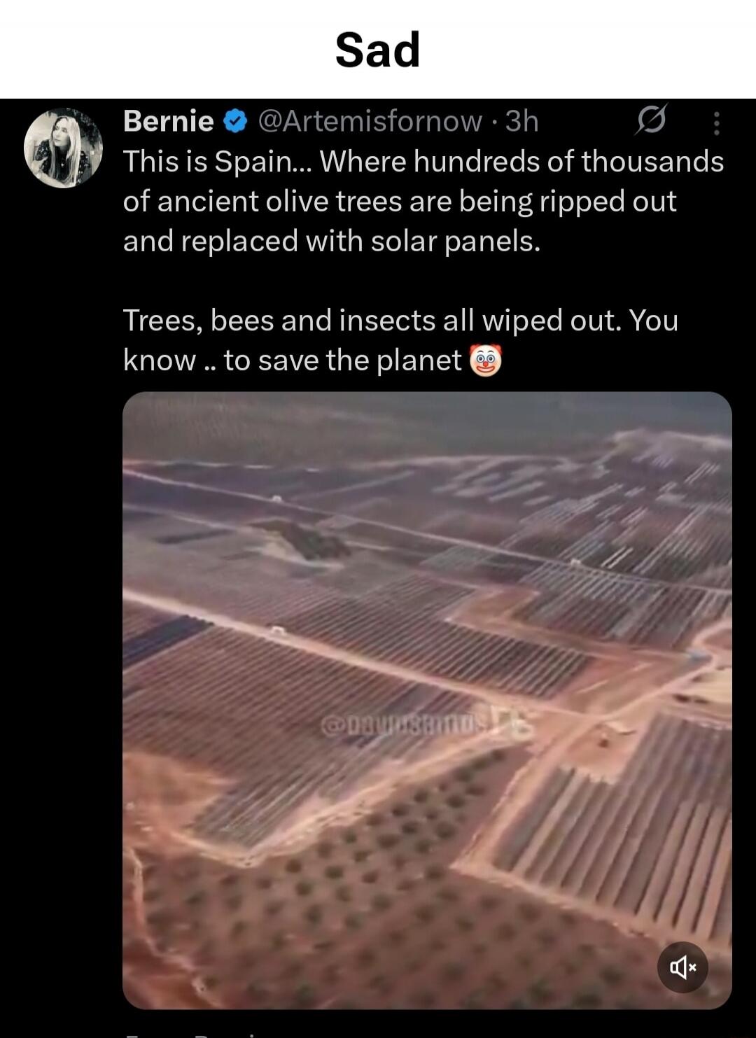 This is Spain... Where hundreds of thousands of ancient olive trees are being ripped out and replaced with solar panels. Trees, bees and insects all wiped out. You know .. to save the planet