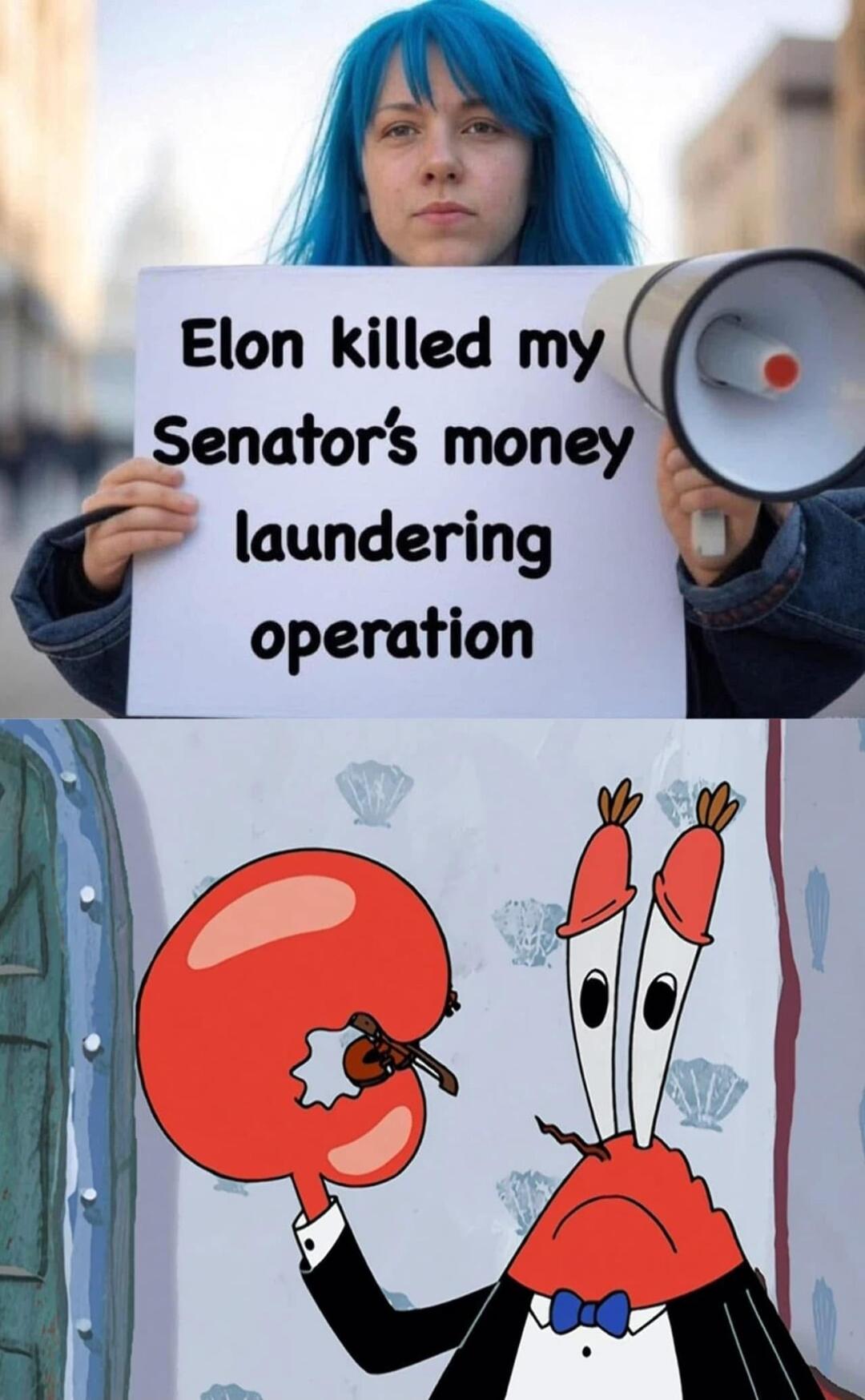 Elon killed my Senators money laundering operation