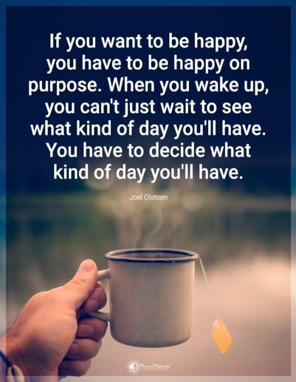 If you want to be happy, you have to be happy on purpose. When you wake up, you can't just wait to see what kind of day you'll have. You have to decide what kind of day you'll have. Joel Olsteen