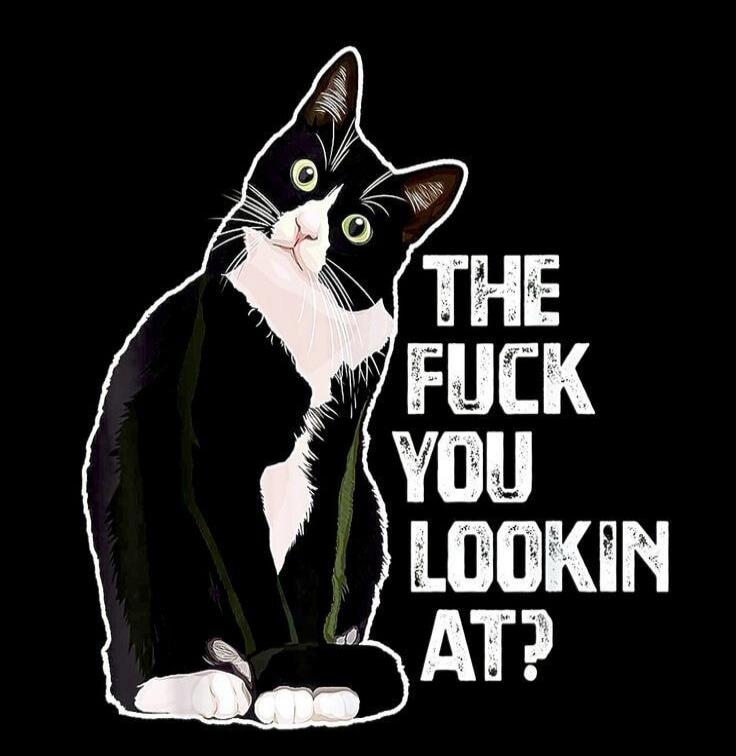 THE FUCK YOU LOOKIN AT?