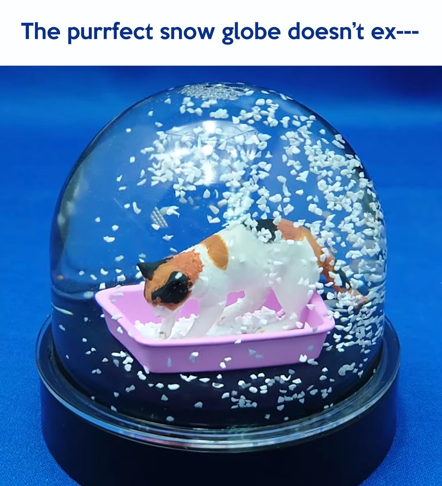 The purrfect snow globe doesnt ex