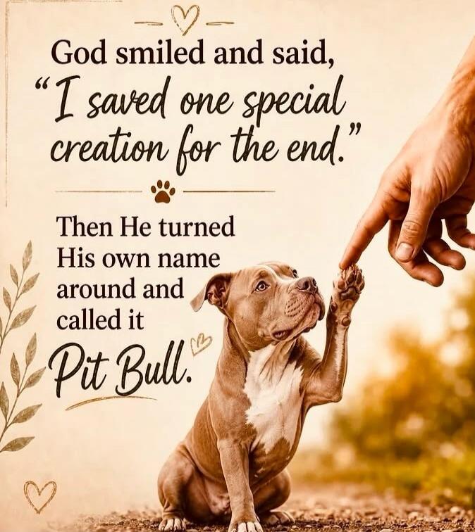 God smiled and said, 