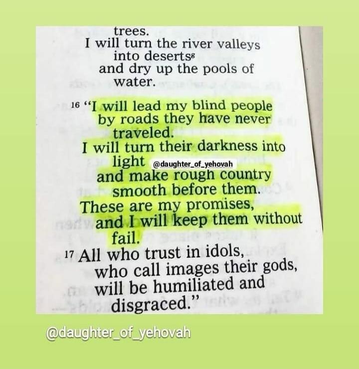 trees. I will turn the river valleys into deserts and dry up the pools of water. 16 