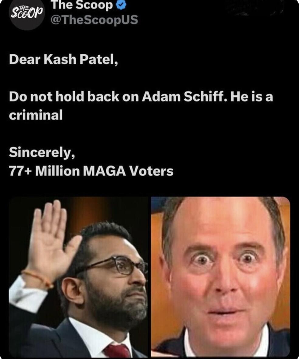 The Scoop sizop TheScoopUS DEETRICE L EI N Do not hold back on Adam Schiff Heis a criminal Sincerely 77 Million MAGA Voters