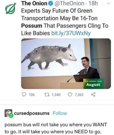 The Onion TheOnion 18h Experts Say Future Of Green Transportation May Be 16 Ton Possum That Passengers Cling To Like Babies bitly37UWxNy Qe i Q73 Rcursedposaums Follow possum bus will not take you where you WANT to go it will take you where you NEED to go