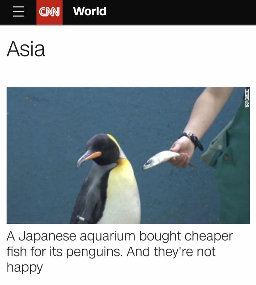I W World A Japanese aquarium bought cheaper fish for its penguins And theyre not happy