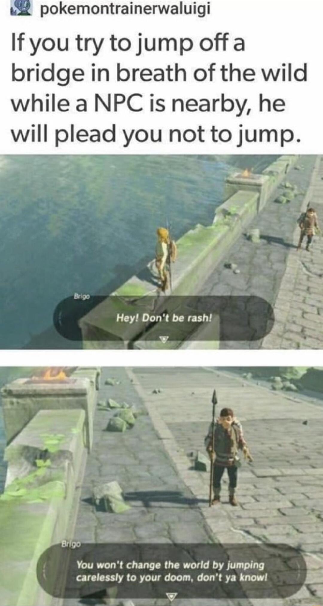 pokemontrainerwaluigi If you try to jump off a bridge in breath of the wild while a NPC is nearby he will plead you not to jump